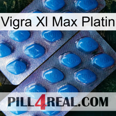 Vigra Xl Max Platinum viagra2